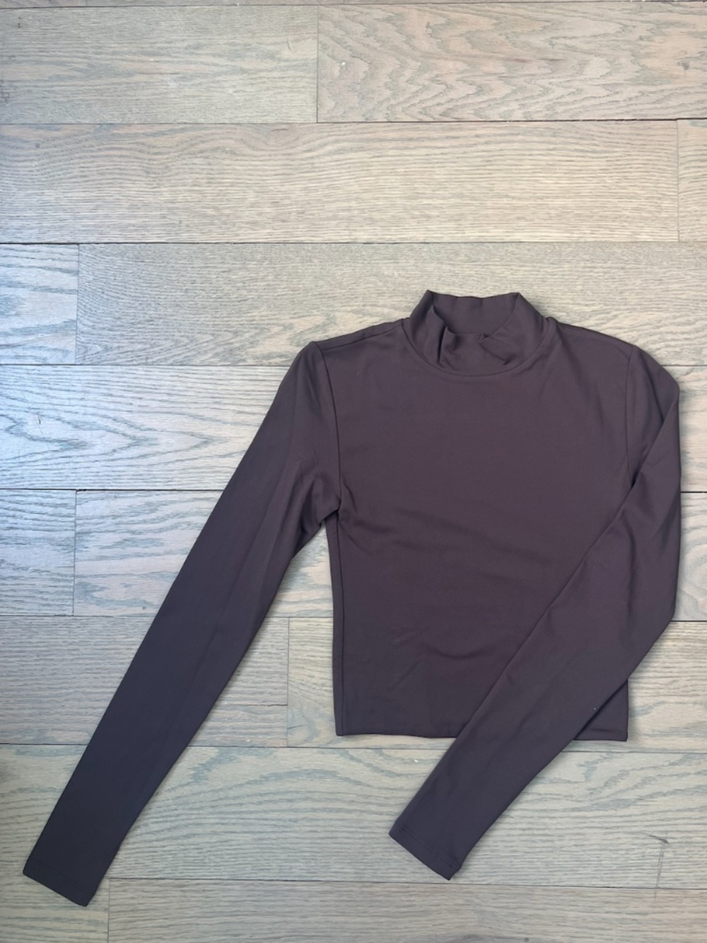 Aritzia Long Sleeve Turtleneck